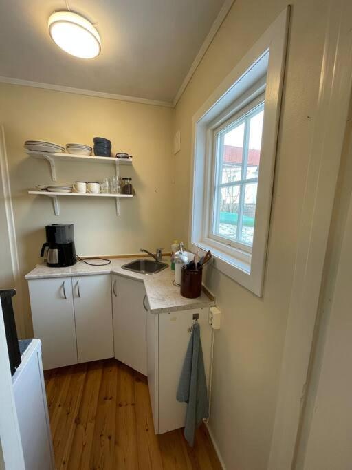 Apartament With Access To Garden, Central, Quiet And With Free Parking Fredrikstad Kültér fotó